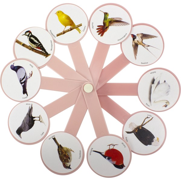 Віяло Птахи