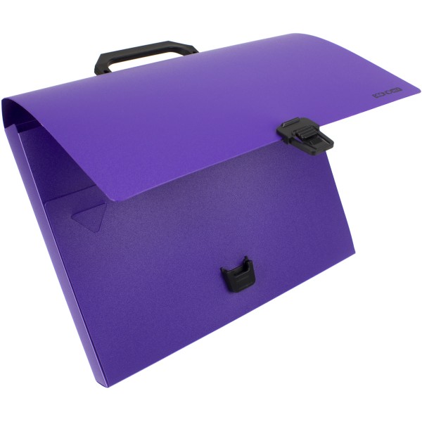 Портфель на застібці Economix A4 пластиковий фіолетовий (1) (6) E31607-12 