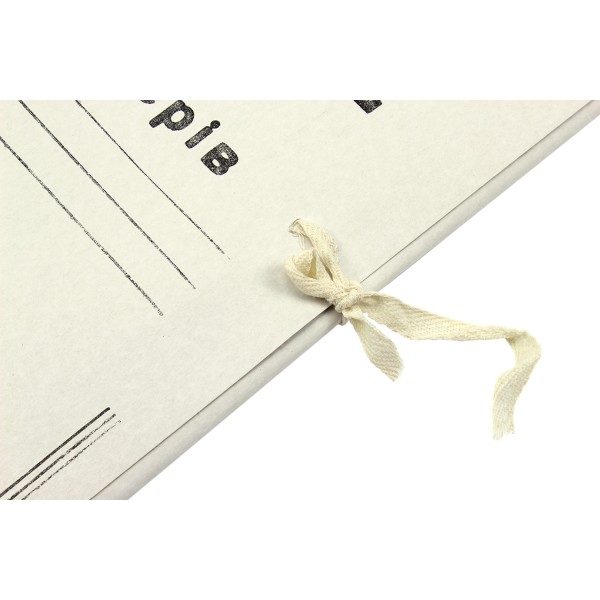 Папка на зав'язках А4 картонна (50) DK002