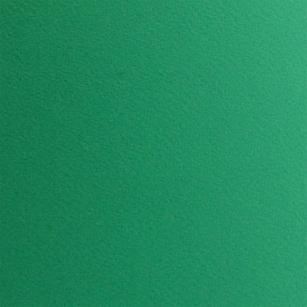Папір для пастелі Tiziano А3 (29,7х42см) 160г/м2 37 biliardo/зелений 72942137