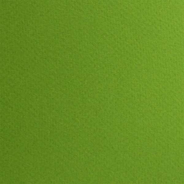 Папір для пастелі Tiziano А3 (29,7х42см) 160г/м2 43 pistacch/фісташковий 72942143