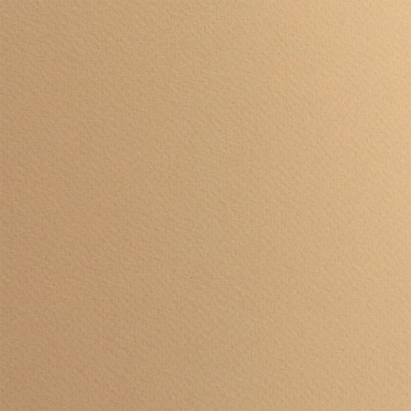 Папір для пастелі Tiziano А3 29,7х42см 160г/м2 06 mandorla/кавовий (10) 72942106