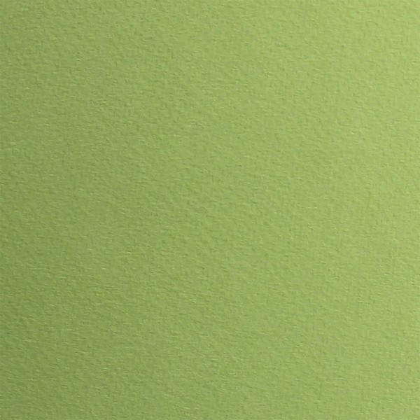 Папір для пастелі Tiziano А3 29,7х42см 160г/м2 11 verduzzo/салатовий (10) 72942111