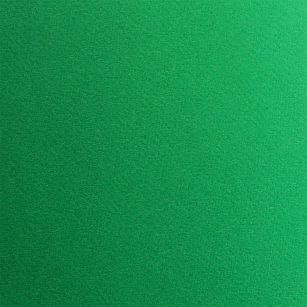 Папір для пастелі Tiziano А3 29,7х42см 160г/м2 12 prato/зелений (10) 72942112