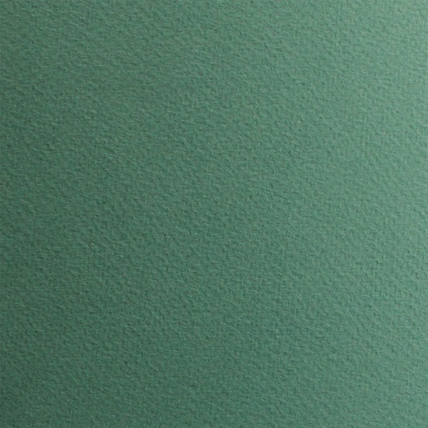 Папір для пастелі Tiziano А3 29,7х42см 160г/м2 13 salvia/сіро-зелений (10) 72942113