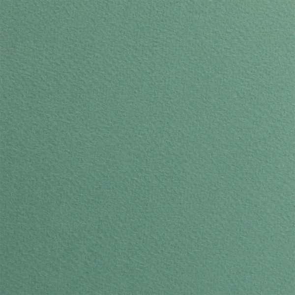 Папір для пастелі Tiziano А4 salvia 21х29,7 см 160 г/м2 13 сіро-зелений (10) 16F4113