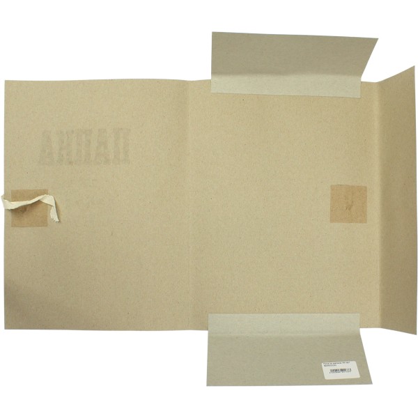 Папка на зав'язках А4 картонна (50) DK002