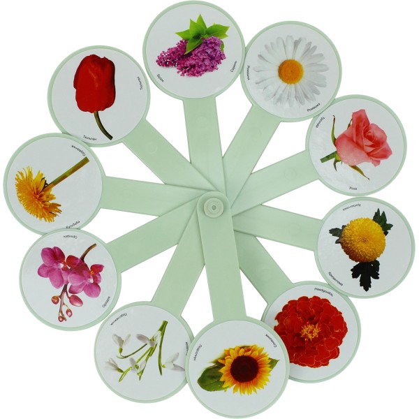 Віяло Квіти