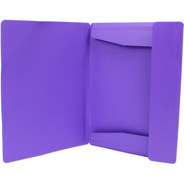 Папка на резинке для документов Economix А4 пластиковая фиолетовая (1) (20) E31633-12 