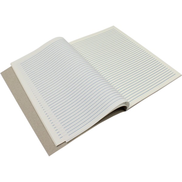 Книга-канцелярська А4 48 аркушів лінія м'яка обкладинка Тетрада (20) 459450