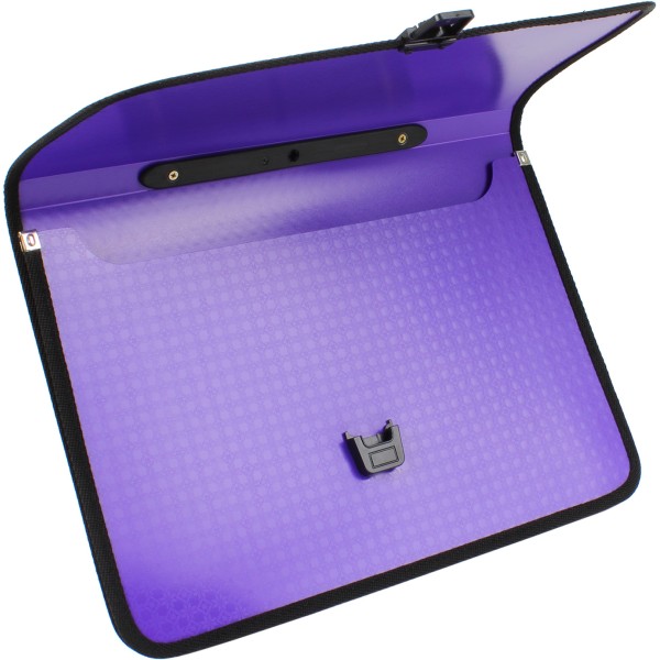 Портфель на застібці Economix Вишиванка E31641-12 пластиковий фіолетовий