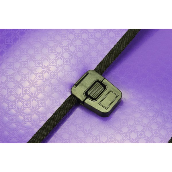 Портфель на застібці Economix Вишиванка E31641-12 пластиковий фіолетовий