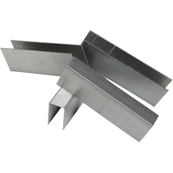 Скоби Scholz 1000 шт 23/23 (10) 4766