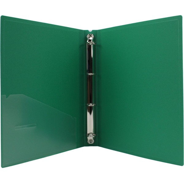 Папка на 4-х кільцях Economix А4 d-25мм зелена (1) (10) E30702-04 