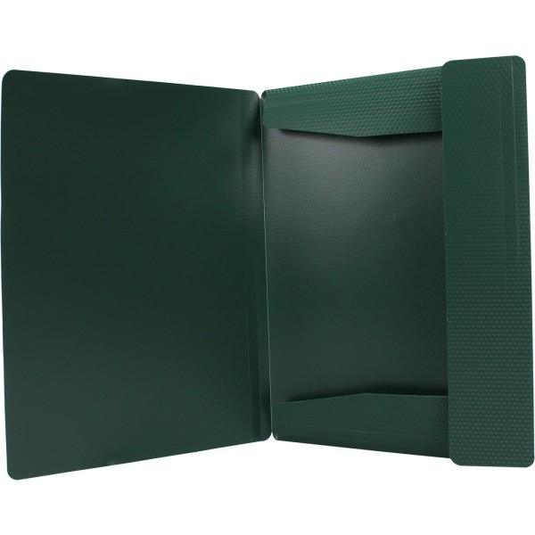 Папка на резинці для документів Economix А4 пластикова зелена (1) (20) E31601-04 