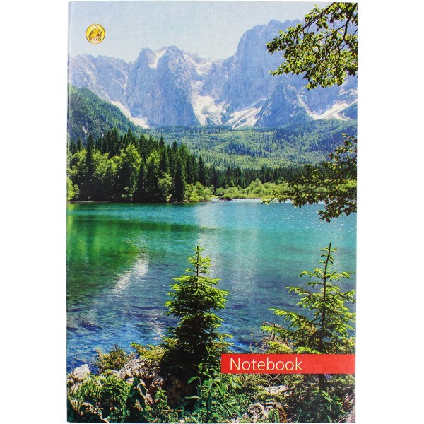 Книга-канцелярська А4 48 аркушів лінія м'яка обкладинка Тетрада (20) 459450