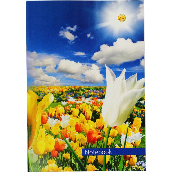 Книга-канцелярська А4 96 аркушів клітинка обкладинка м'яка газетка Тетрада (20) 459449 