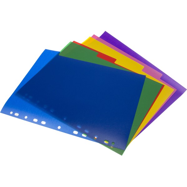 Розділювач сторінок Economix пластиковий A4 6 кольорових розділів E30806