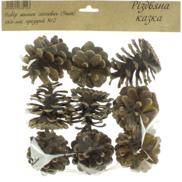Набір шишок соснових 9 шт Еко-лак прозорий 2