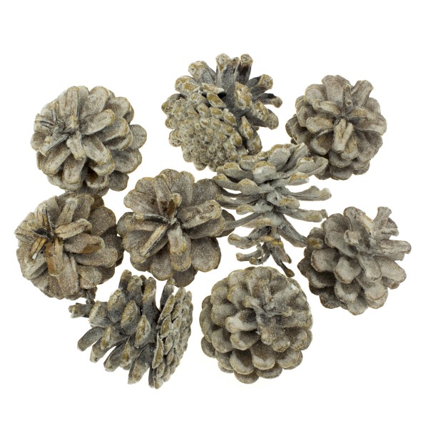 Набір шишок соснових 9 шт Еко-лак прозорий/глітер білий 2