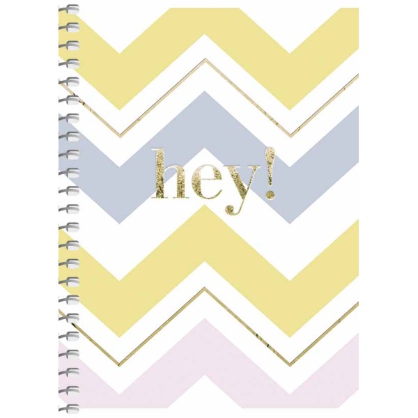  Блокнот на пружині A6 80 аркушів картонна обкладинка клітинка Student (4) (144) №A6-SC-080-6088K Школярик