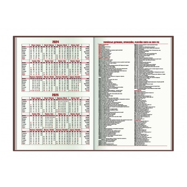 Ежедневник А5 Optima  датированный 2025   Fantasy черный O25225-01