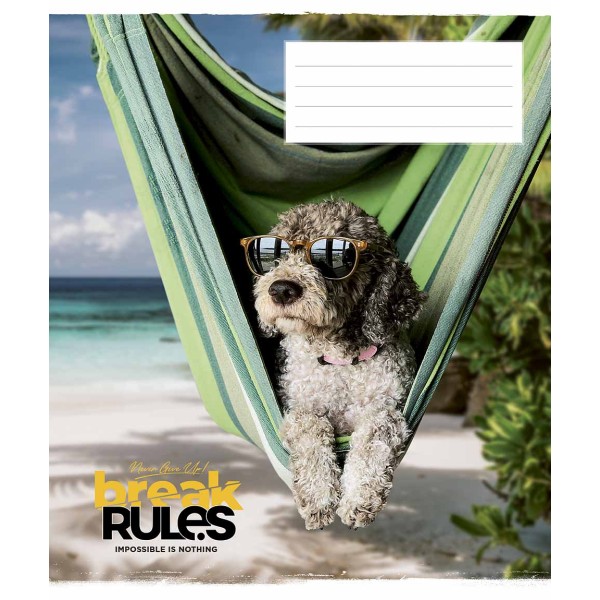 Зошит 60арк. лін. Школярик "" ВД лак №060-3220L(10)(80)