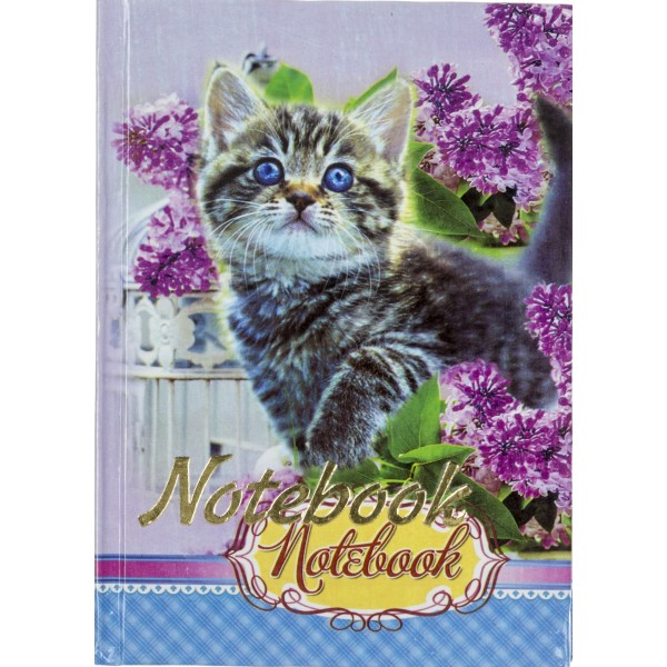 Блокнот А6 96арк. лін. тв. обкл. "Love" /Септима/(10)