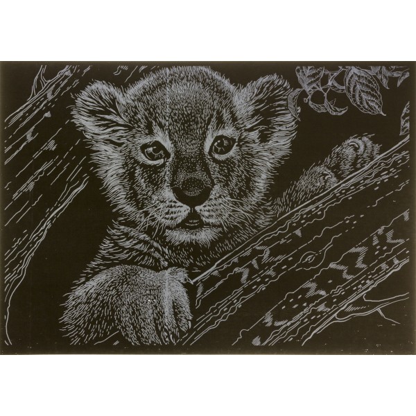 Гравюра "DankoToys" А4 економ №ГрА4(60)