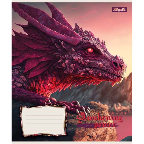 Зошит 12арк. лін. 1В Dragon №766281(25)(500)