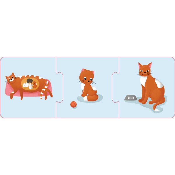 Гра "Кенгуру. Логічні ланцюжки. Тварини і рослини. Етапи розвитку"/Ранок/(14)