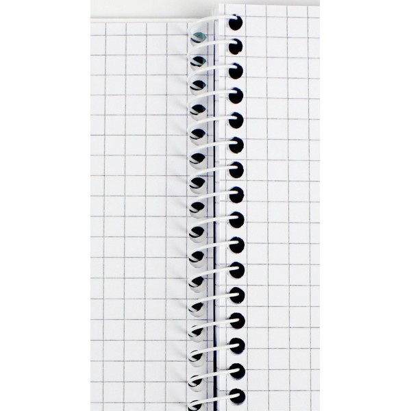 Блокнот пруж. бок. А5 80арк. кліт. пласт. обкл. №E20308/Economix/(4)(56)