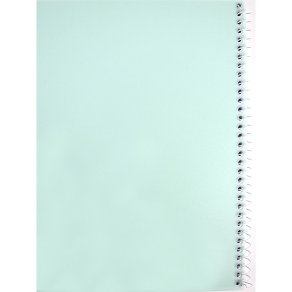 Блокнот пруж. бок. А5 80арк. кліт. пласт. обкл. №E20308/Economix/(4)(56)