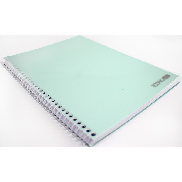 Блокнот пруж. бок. А5 80арк. кліт. пласт. обкл. №E20308/Economix/(4)(56)