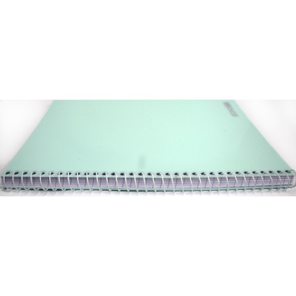 Блокнот пруж. бок. А5 80арк. кліт. пласт. обкл. №E20308/Economix/(4)(56)