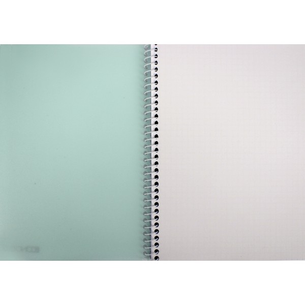 Блокнот пруж. бок. А5 80арк. кліт. пласт. обкл. №E20308/Economix/(4)(56)