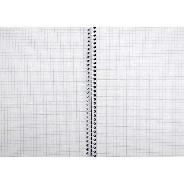 Блокнот пруж. бок. А5 80арк. кліт. пласт. обкл. №E20308/Economix/(4)(56)