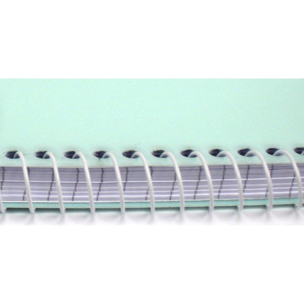 Блокнот пруж. бок. А5 80арк. кліт. пласт. обкл. №E20308/Economix/(4)(56)