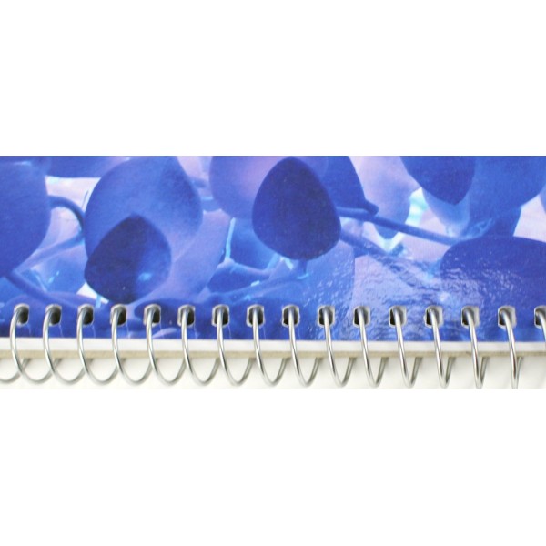 Блокнот пруж. бок. А5 80арк. кліт. карт. "Optima" Nature №O20332-03(5)(50)