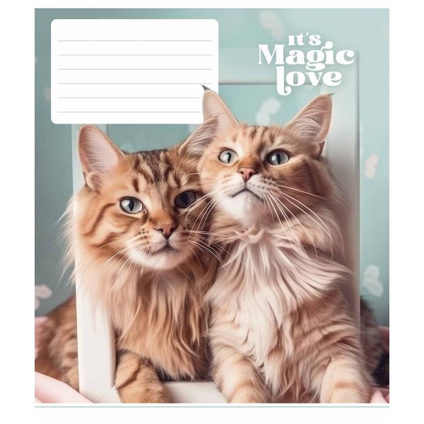 Зошит 12арк. лін. Star "It's a magic love" ВД-лак №012-3300L(30)(360)