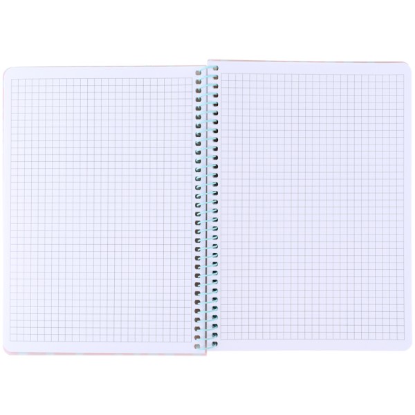 Блокнот пруж. А5 80арк. кліт. пласт. обкл.,персиковий №8462-3-A /Axent/(10)