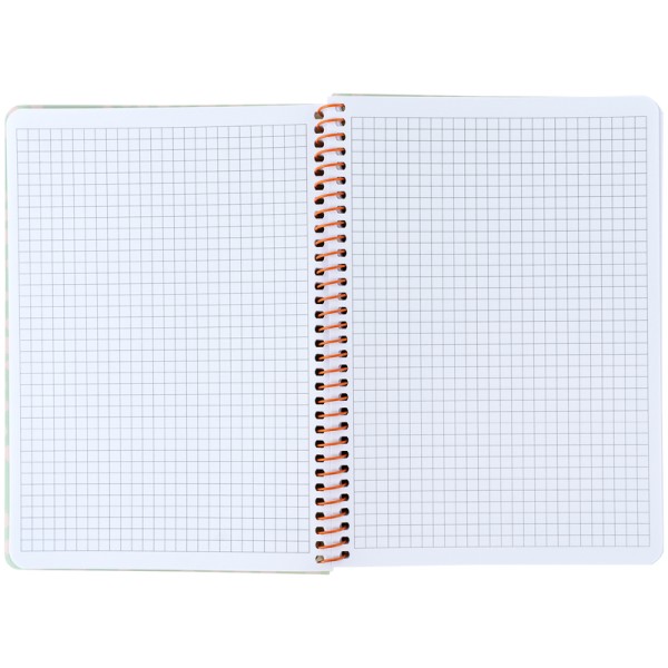 Блокнот пруж. А5 80арк. кліт. пласт. обкл.,салатовий №8462-1-A/Axent/(10)(20)