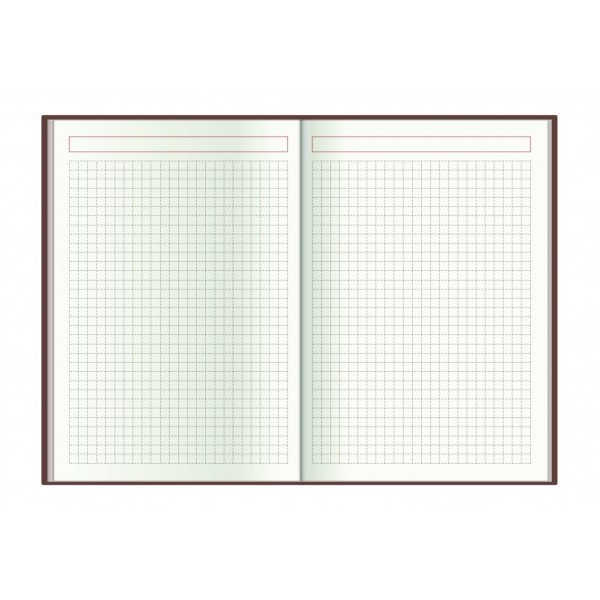 Щоден. А5 "Economix" дат2026 Клітинка чорний №E21609-01(20)