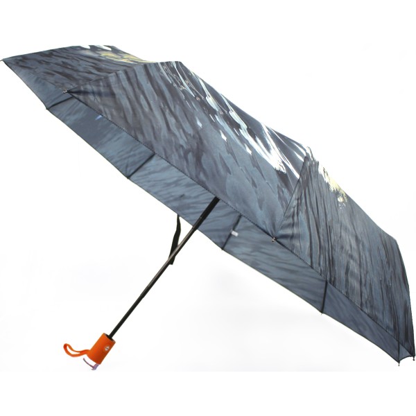 Парасолька жін. автомат "Rain Flowers" №1010(12)(48)