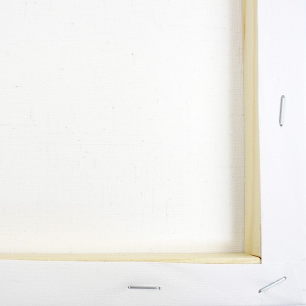 Полотно для малювання "Art Canvas" №АС-50х40/DankoToys/(10)