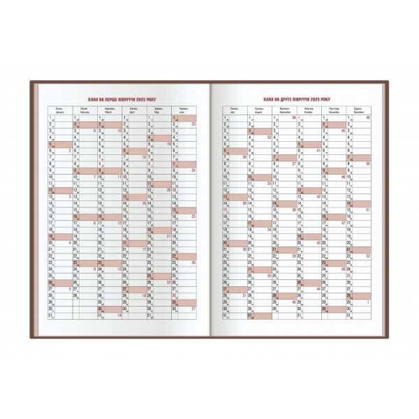 Ежедневник А5 Optima  датированный 2025   Glen черный O25201-01