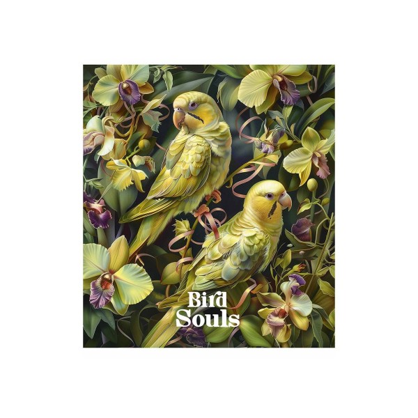 Зошит 48арк. кліт. Школярик "Bird Souls" УФ-лак №048-3457K(10)(100)