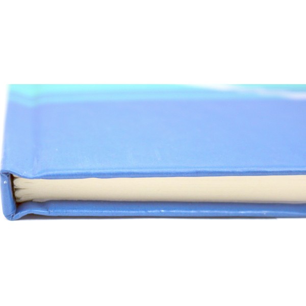 Щоденник шк. В5 №Щ-35 мат. лам.,тиснення тв.обкл./Рюкзачок/(12)