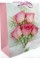 Пакет подарунковий папер. 26х32х12см, 3D №287/461663/Leader/(12)