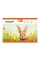 Зошит для малюв. на скобі 20/100 А4 з перфор. O'range Line Pets №130608/Yes/(4)(128)